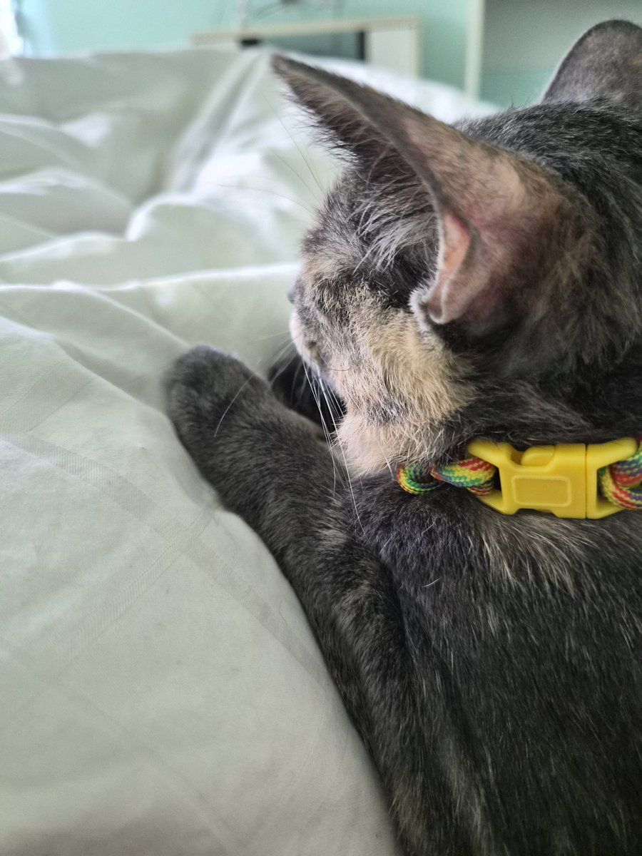 candoevrything's tweet image. แจ้ม