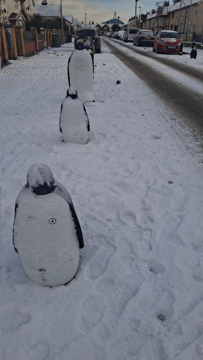 I fucking LOVE SNOW!