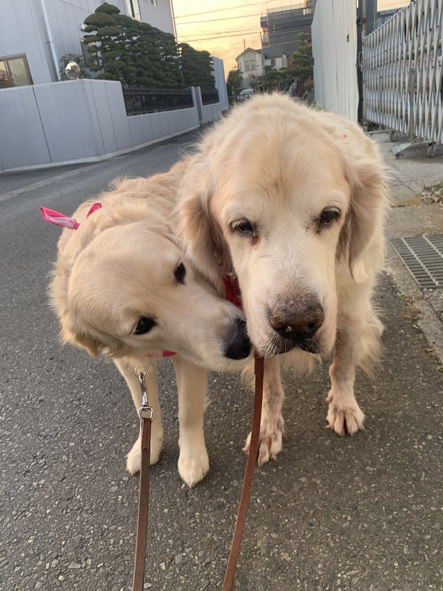 ぴーママ (@1174115) / Posts / X