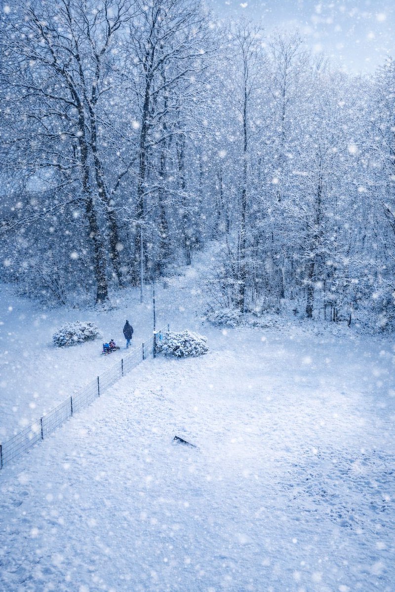 Rick van Velthuysen tweet media