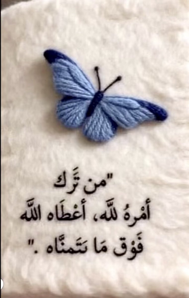 محمد بن سالم tweet media