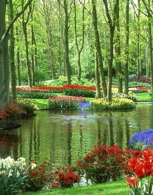 Keukenhof Gardens. Astra Fund – best supplier of flowers and plants from Holland.