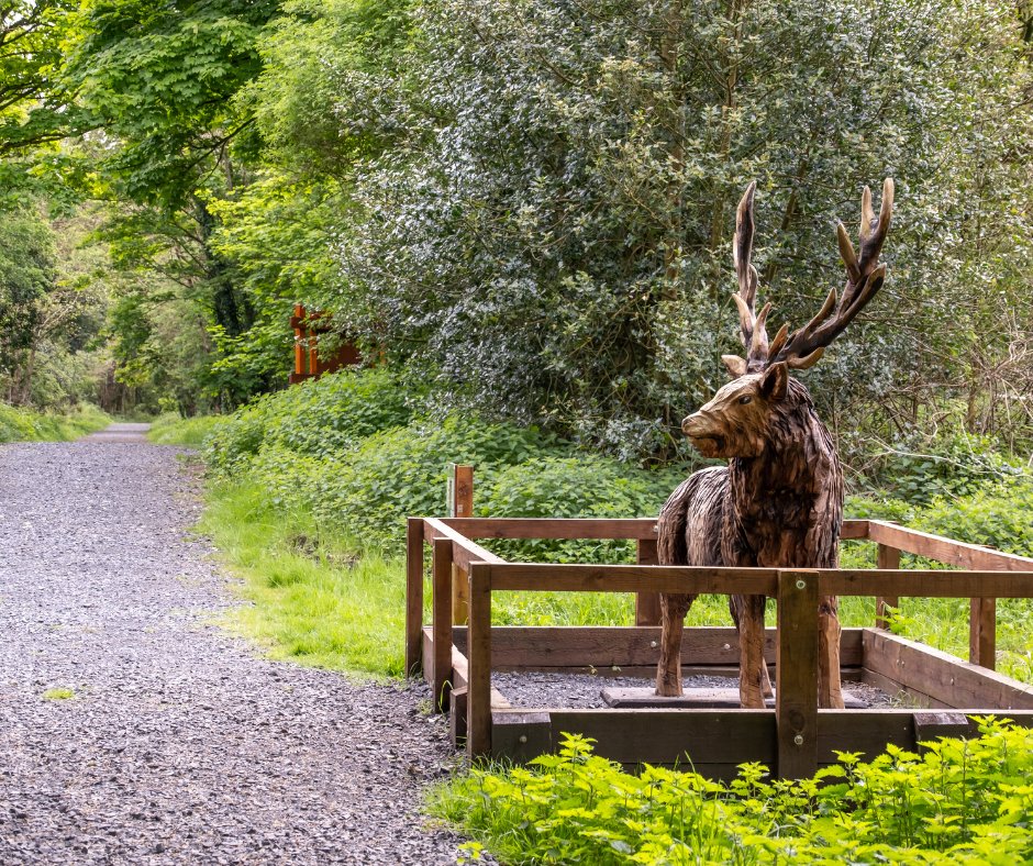 Visit Westmeath tweet media