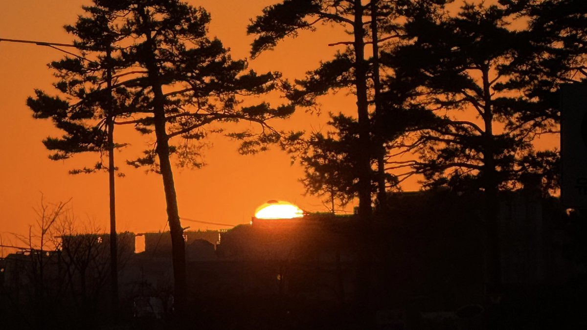 oconih's tweet image. 