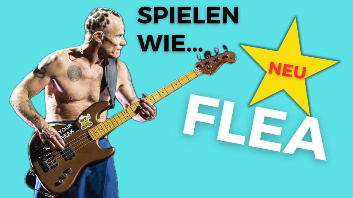 Mr_Flow's tweet image. Neue Preise für 1-on-1 Live-Bassunterricht 👍🎶🔥 - mailchi.mp/floriansbassun…