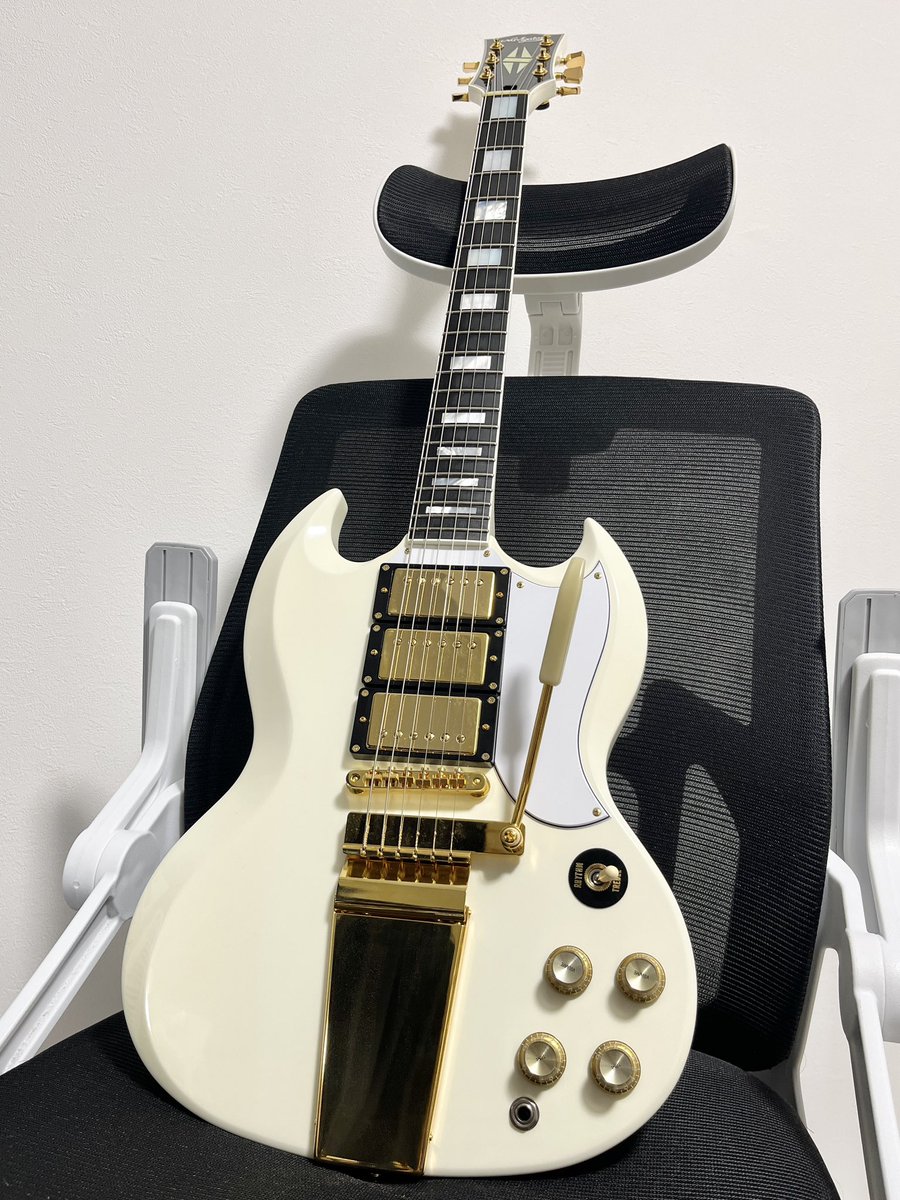 新年1発目、買ってもうタ！ ESP Navigator Custom Order SG！