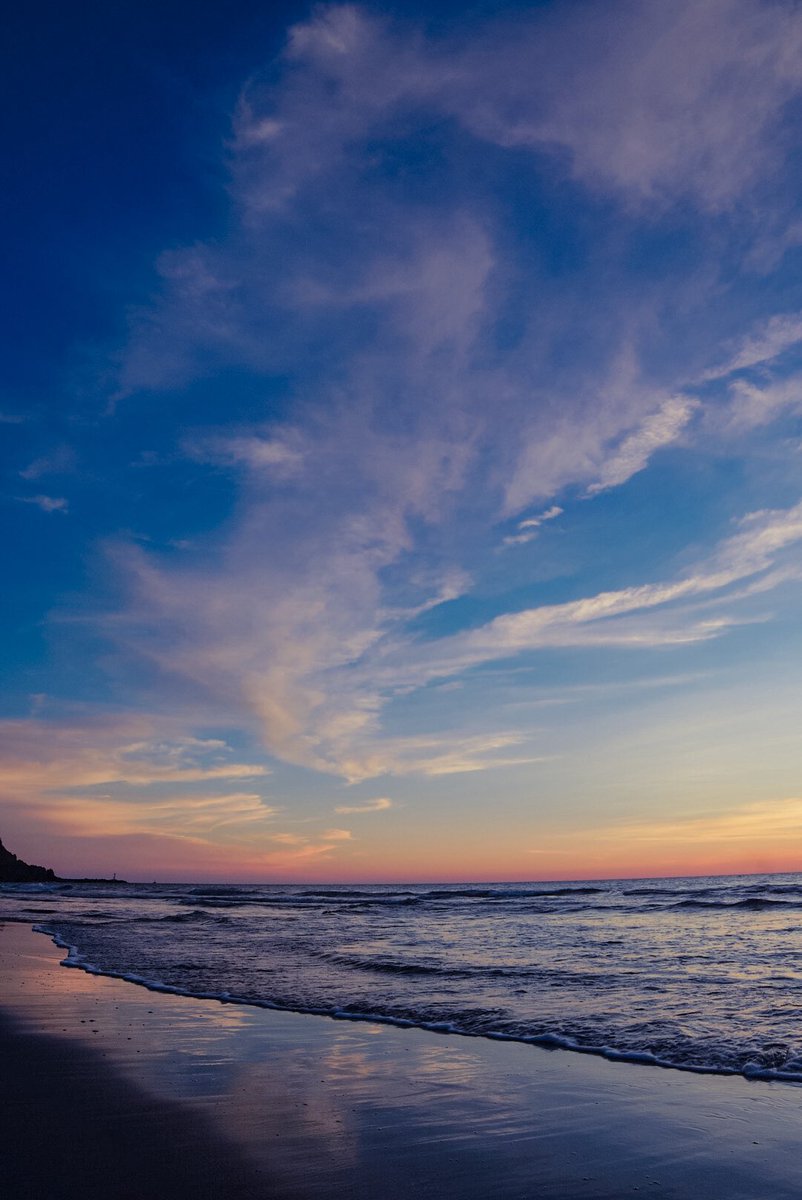 Sakura (@sakuraing64) / Posts / X