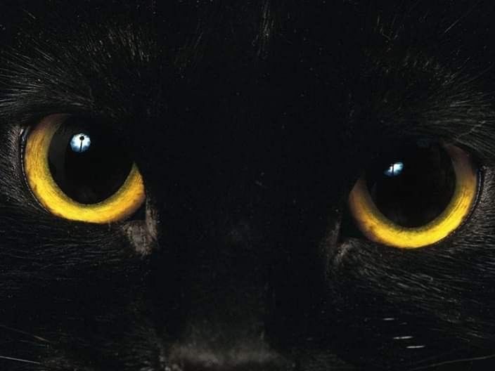 noisynj's tweet image. branding really does matter