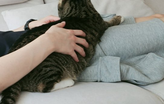 userlinoring's tweet image. the way my brain is leeknowpilled enough to know which shorts hes talking about brah i need help