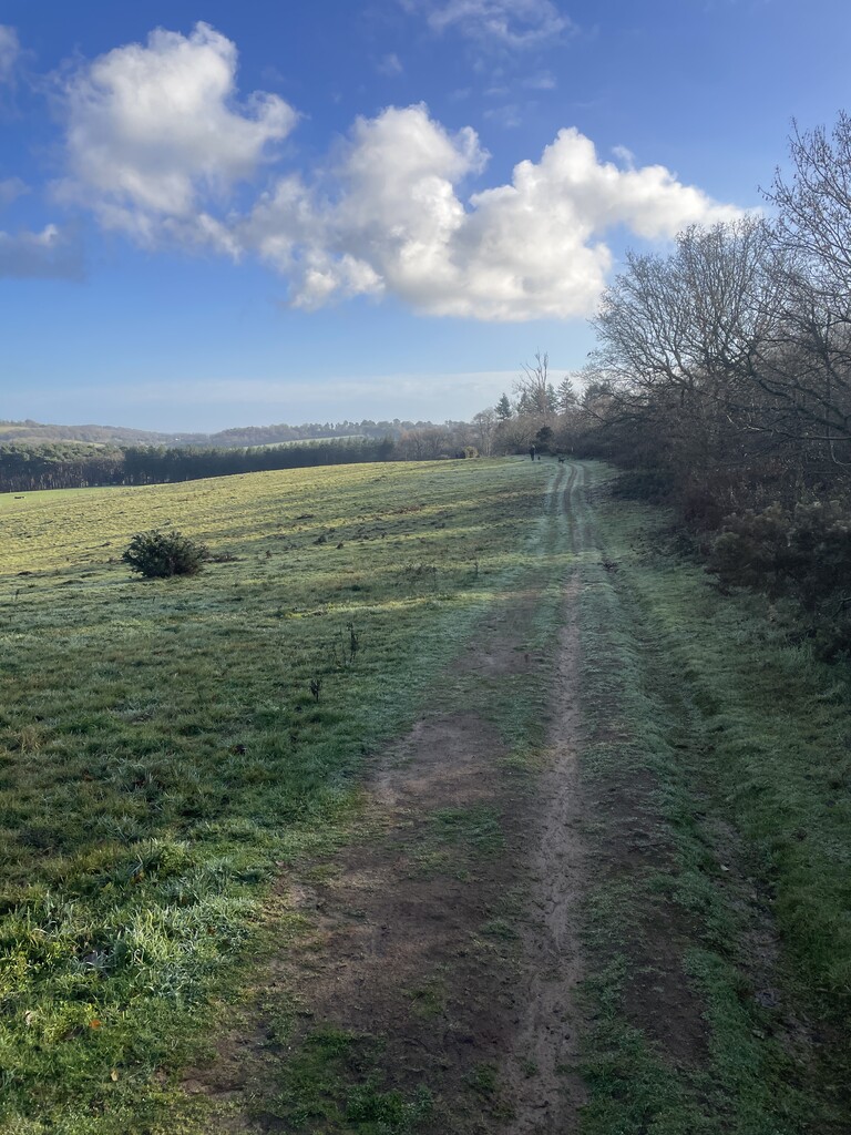 Fastest Known Time tweet media