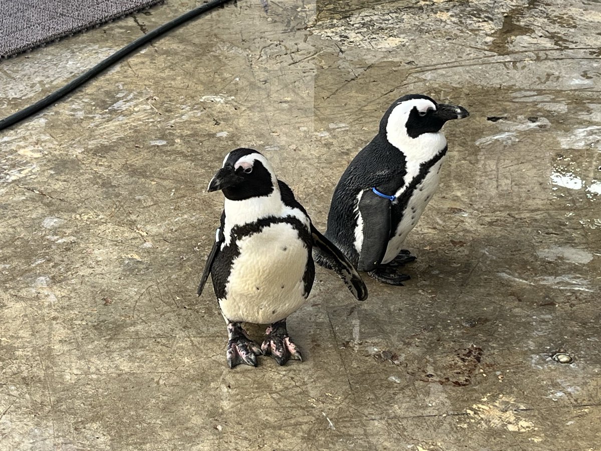 霞ケ浦どうぶつとみんなのいえ 2026.1.1 年末年始をここで過ごせる幸せ