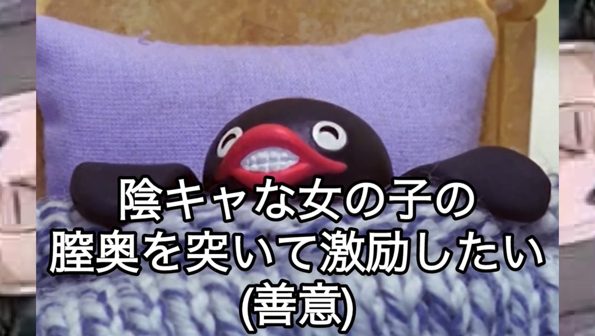 pingu_Archive's tweet photo. https://t.co/UgVMnhBfFZ