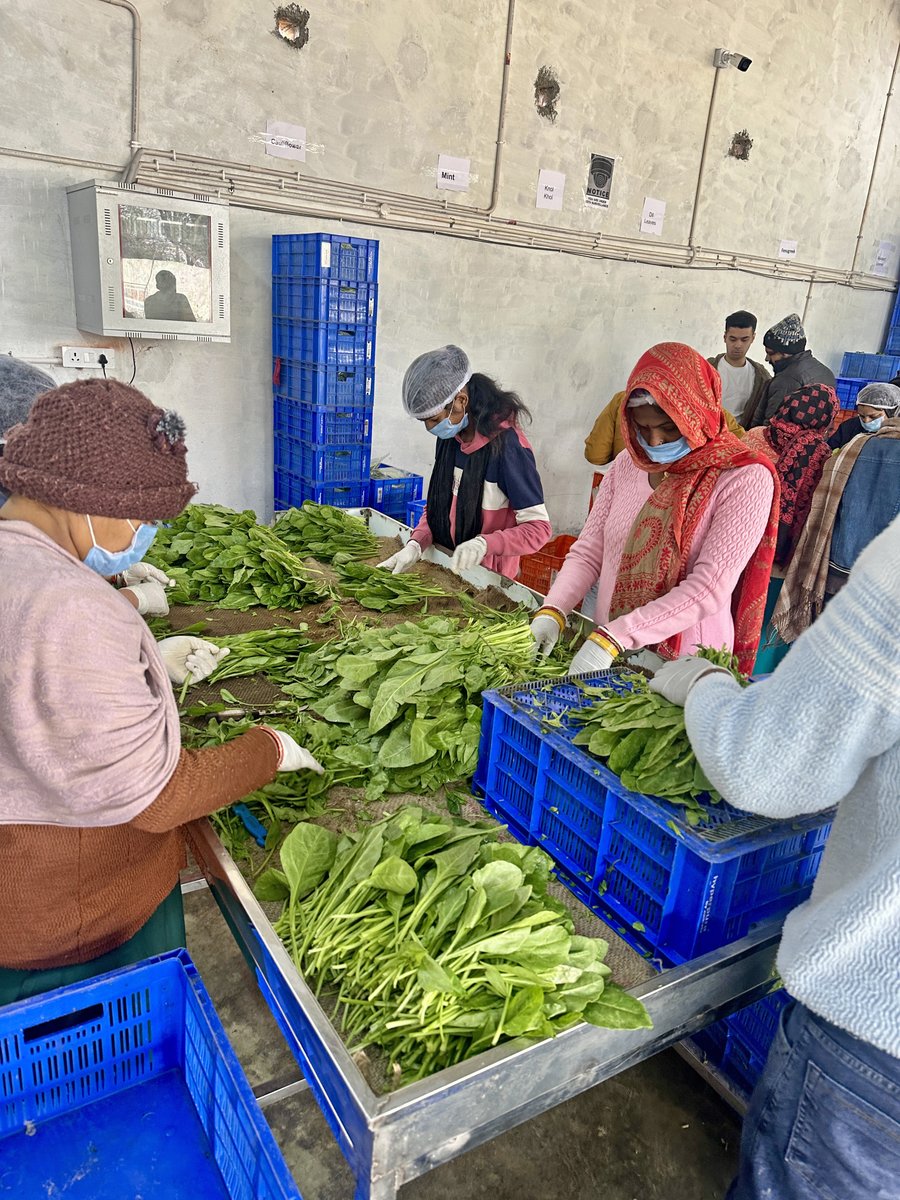 Albinder Dhindsa tweet media