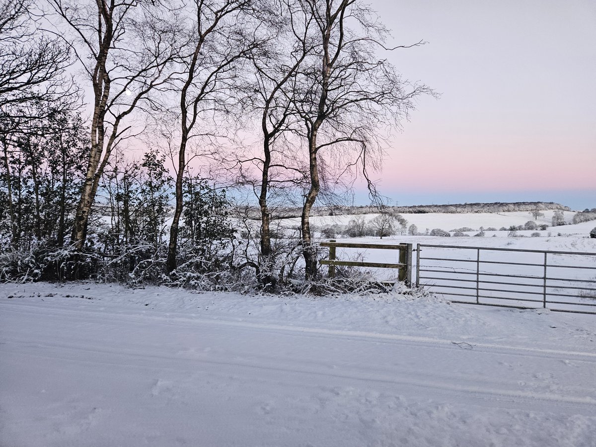 TheOaksBarn's tweet image. Our beautiful winter wonderland ❄️🌨️☃️

#TheOaksBarnWedding #januarysnow #januaryweather #CountrysideWedding #rusticbarnwedding #staffssnaps #winterweather
@SkyNewsWeather
@bbcweather
#staffssnaps
@itvweather
@Official_WXUK
@BBCRadioStoke
@skynews
#britishweather
