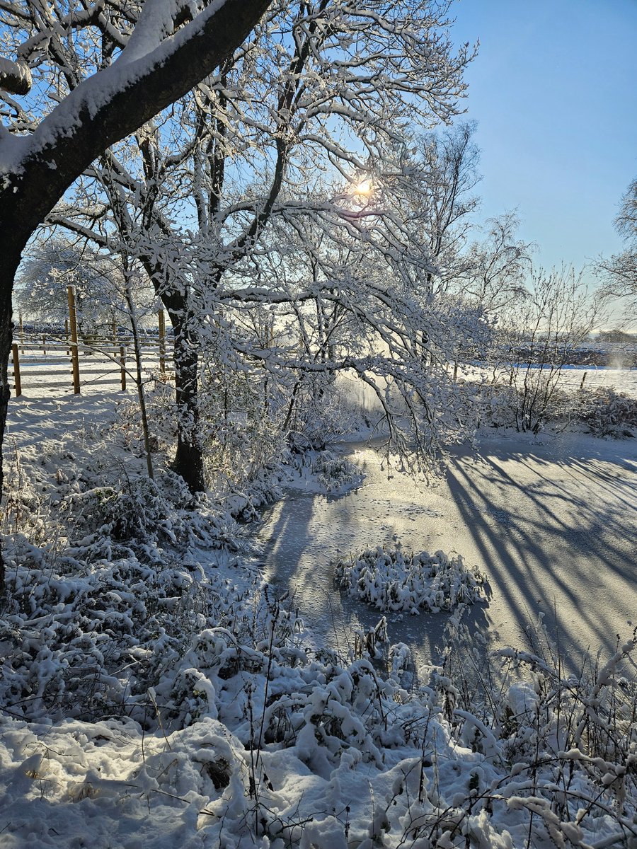 TheOaksBarn's tweet image. Our beautiful winter wonderland ❄️🌨️☃️

#TheOaksBarnWedding #januarysnow #januaryweather #CountrysideWedding #rusticbarnwedding #staffssnaps #winterweather
@SkyNewsWeather
@bbcweather
#staffssnaps
@itvweather
@Official_WXUK
@BBCRadioStoke
@skynews
#britishweather