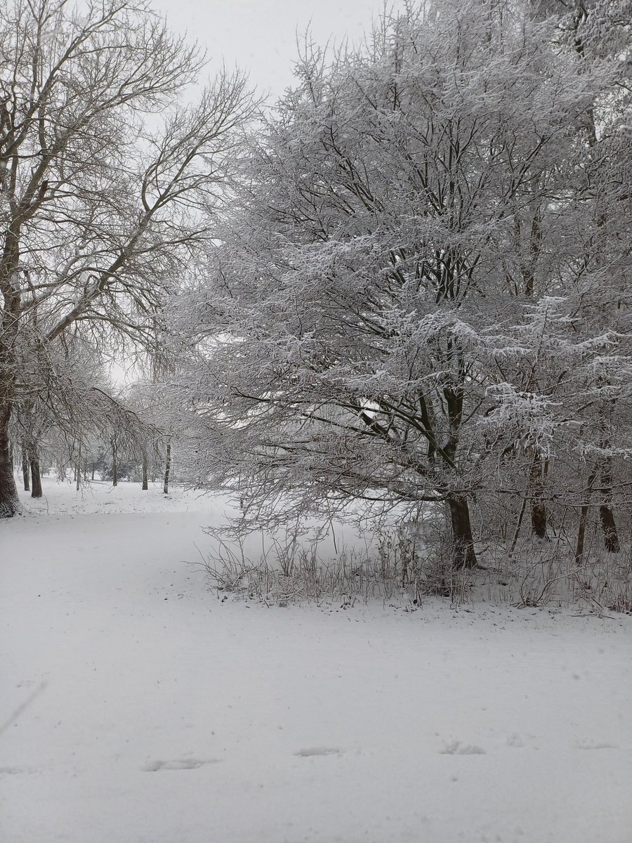 Sınıfımın penceresinden görünüm.