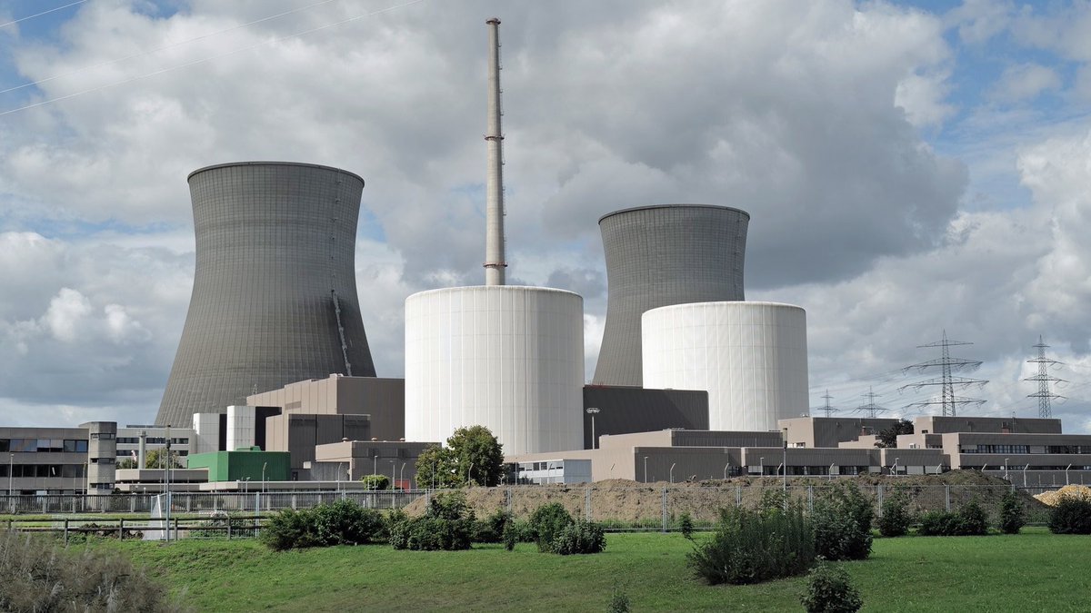 Daniel P. tweet media