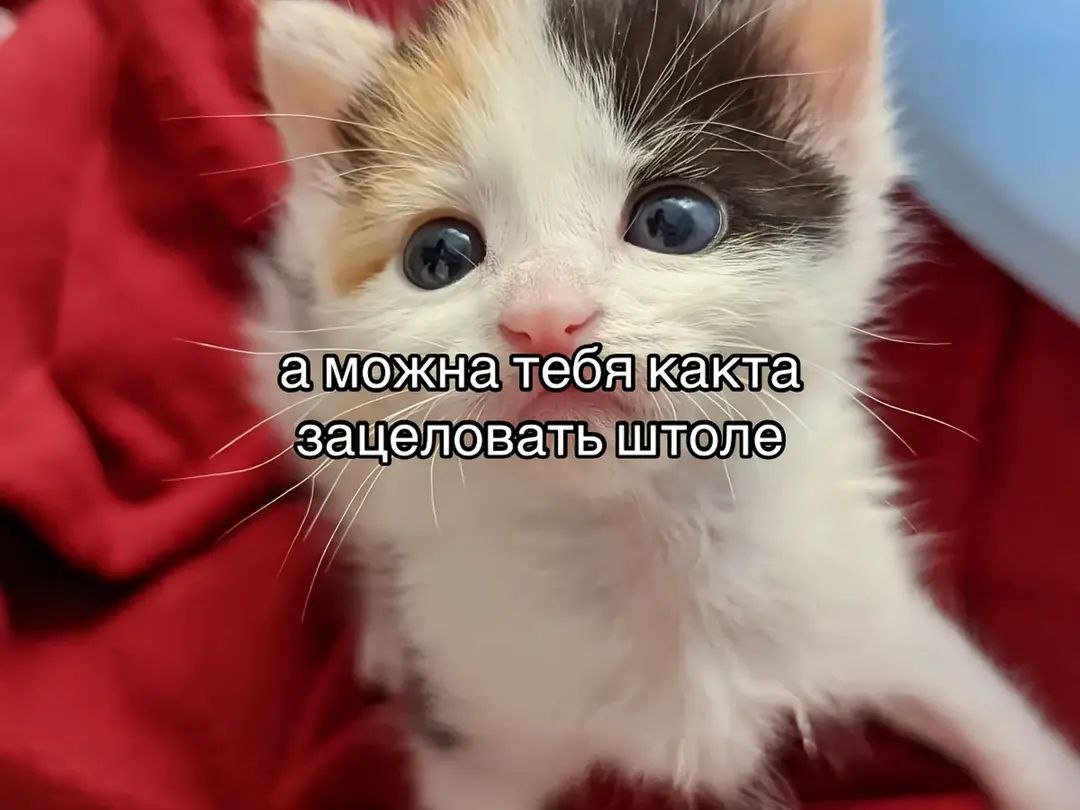 Открытка для подписчеков