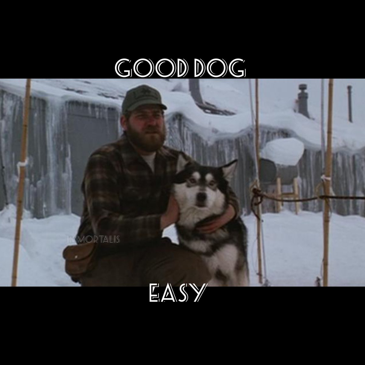 Simpler times. Not a dog in sight.