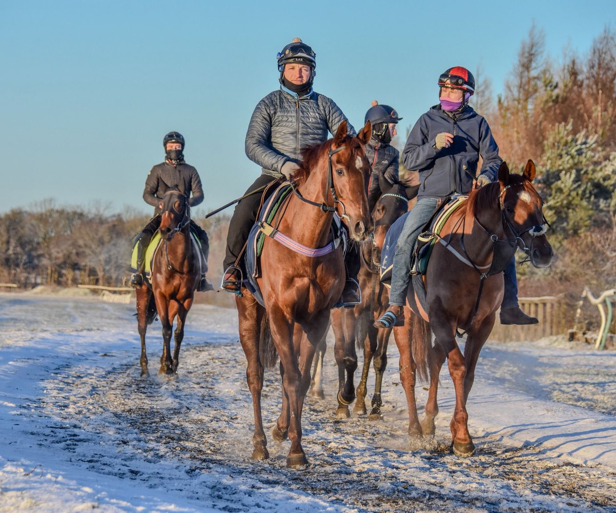 jmorlandracing's tweet photo. The #JMR team wrapping up warm to exercise the horses on a snowy Monday morning! The Newmarket Heath team do a fantastic job ensuring the gallops are ready to use whatever the weather π¨οΈβοΈππ»
#wintertraining #racehorses #newmarket #newmarketheath https://t.co/Aw1cNxltZt