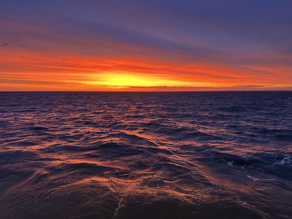 Crypto_Minerman's tweet image. Good morning legends 🔥