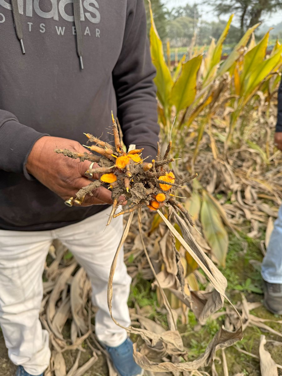 Albinder Dhindsa tweet media