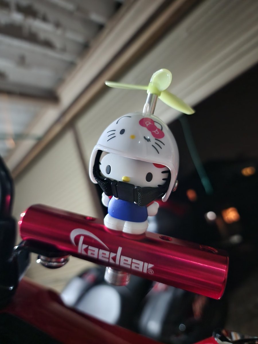 みんな大好きアヒル隊長をカブに取り付けるつもりが、兄貴からキティ