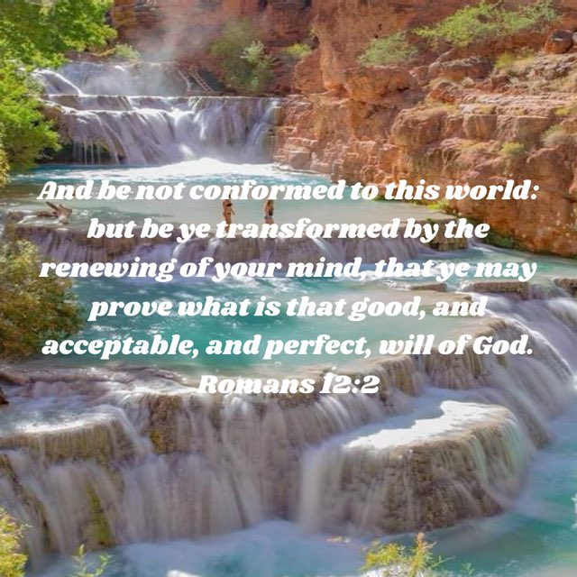 Jsano97's tweet image. 