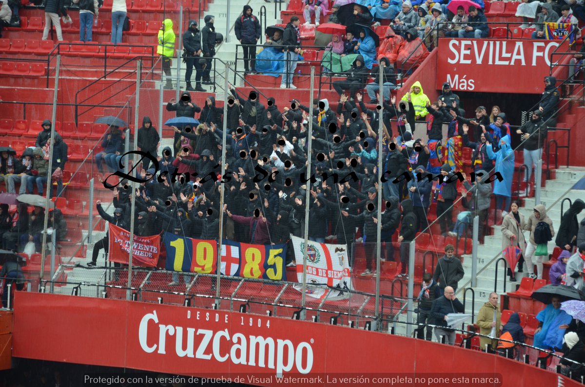 LA GRADA DETRÁS DE UNA CÁMARA tweet media