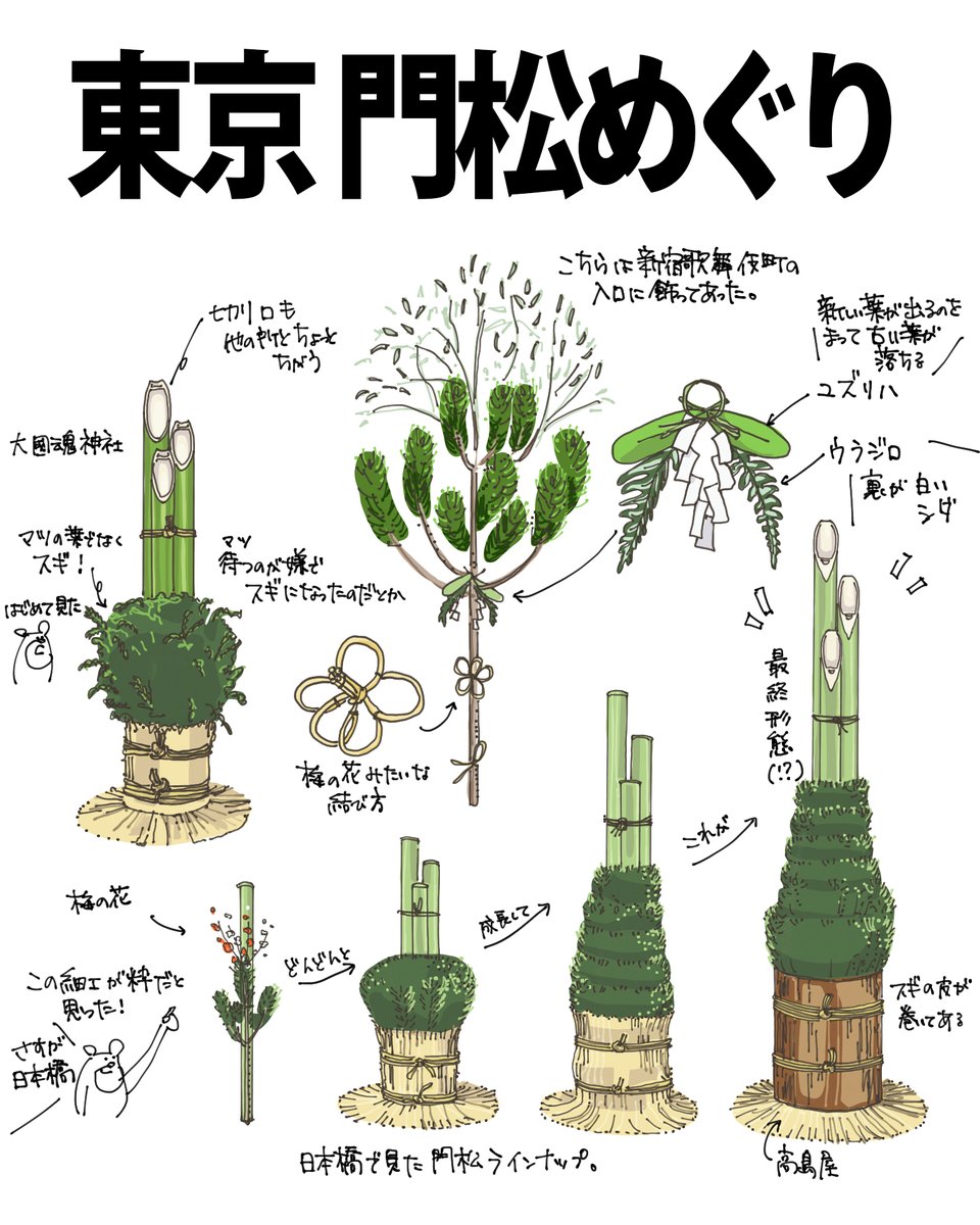 ウラジロ　正月　門松 基礎知識】お正月に使う『お飾り』の種類をまとめました。｜切花情報