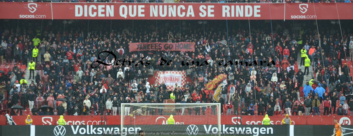 LA GRADA DETRÁS DE UNA CÁMARA tweet media