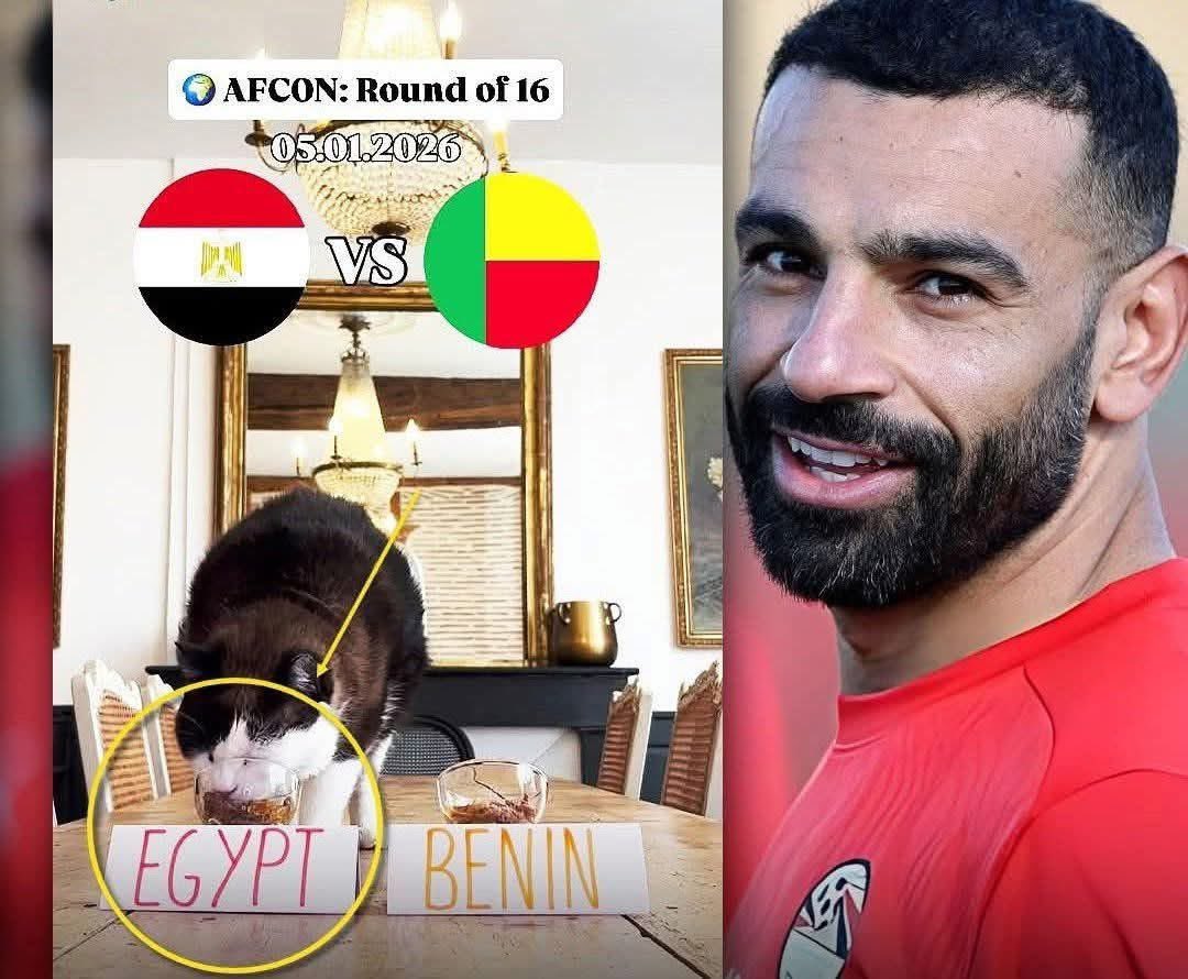 hasan_altahir's tweet image. كل التوفيق اليوم لحبايبنا 
اهل مصر الغالية امام منتخب بنين 

فايزين باذن الله ❤️ 🇪🇬