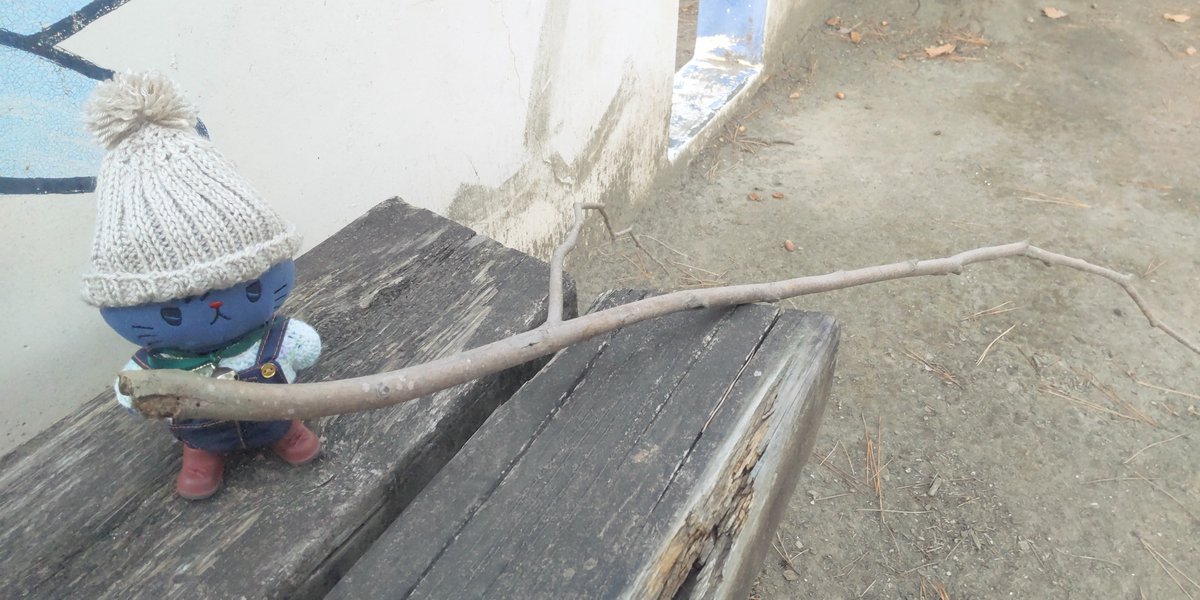 おれ、もうすこし、おしょうがつやれます！っていったのに、きょうから、おしごとのつきそいのおしごとに、かりだされました🙀💨ﾔﾚﾔﾚ
いいかんじのえだをみつけたので、やぬしがなまけてたら、これでおしりぺんぺんしようかなぁ😼✨