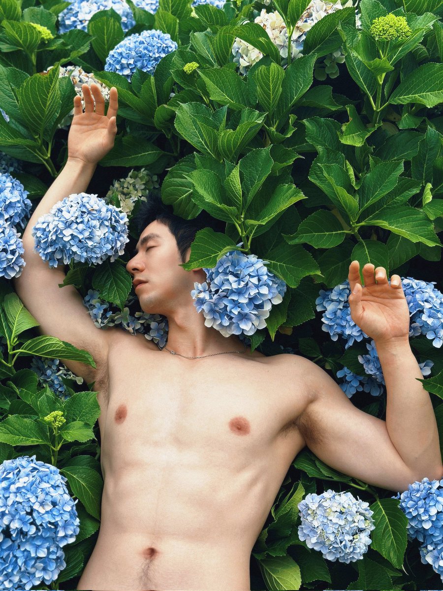 奥特西斯 tweet media