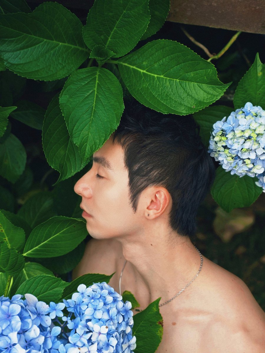 奥特西斯 tweet media