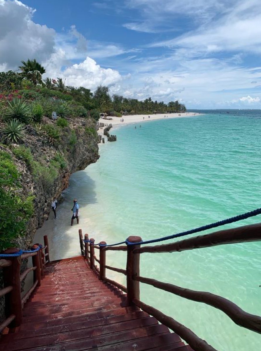 WORLD 2026 🌊 tweet media