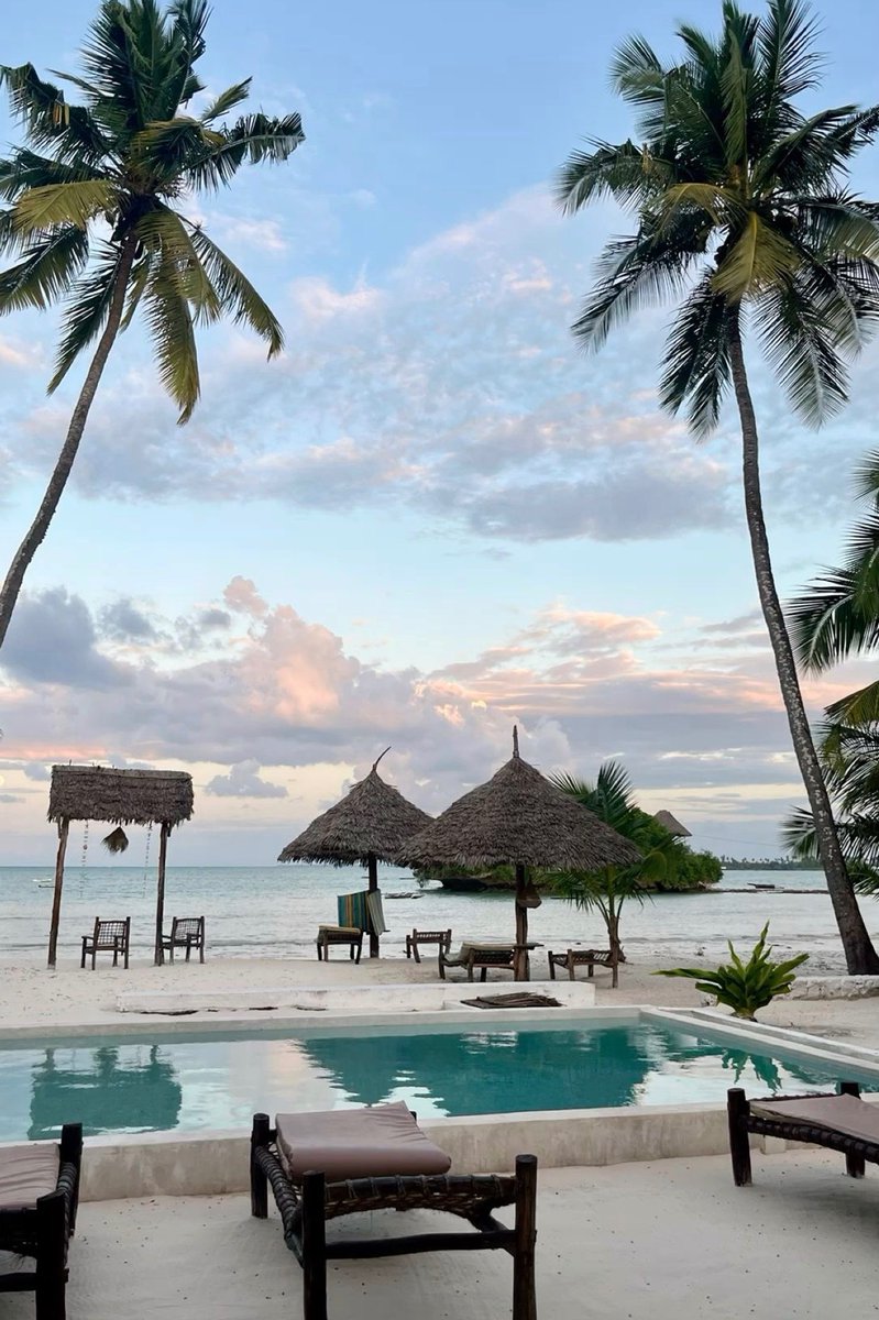 WORLD 2026 🌊 tweet media