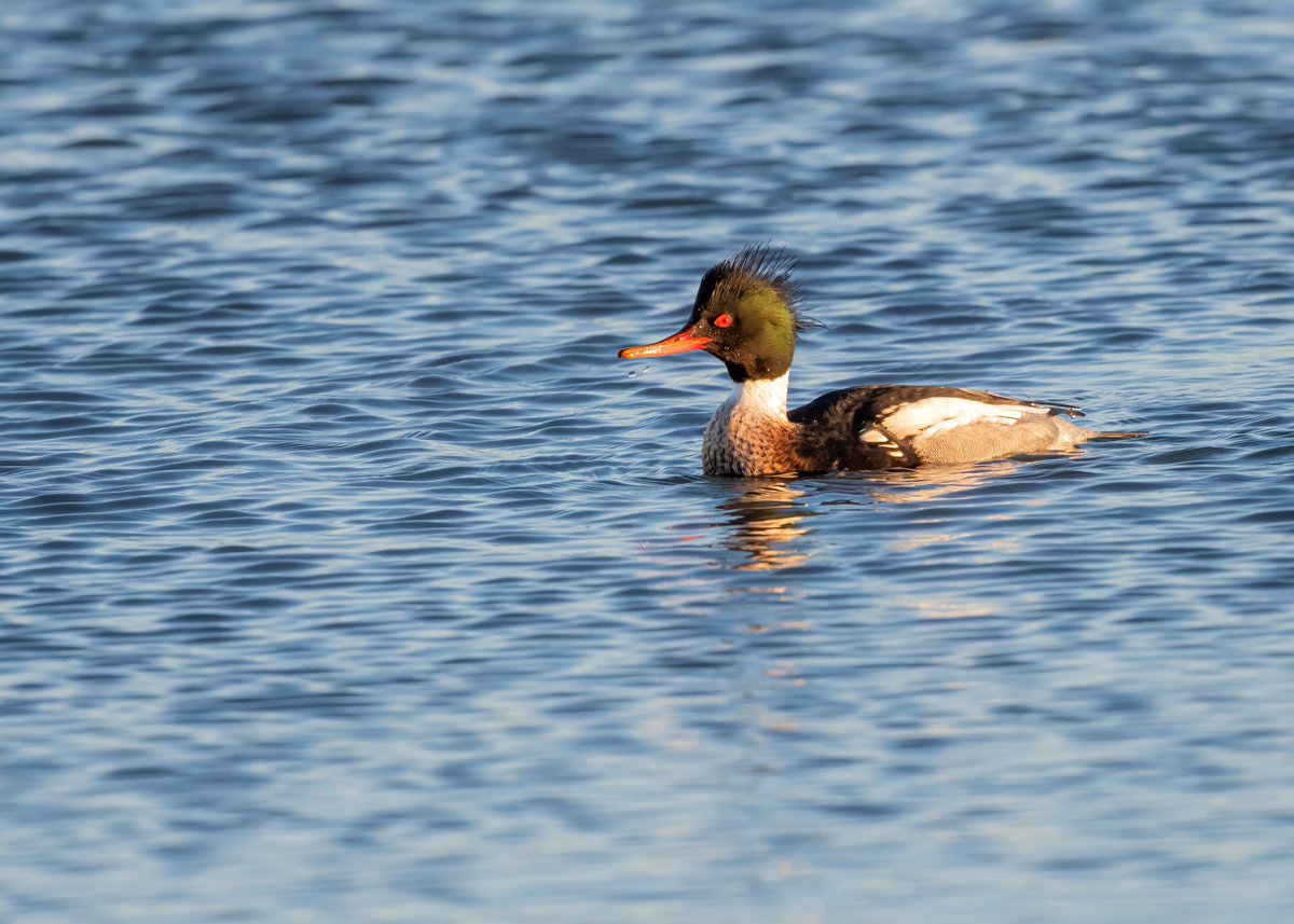 Phill Gwilliam tweet media