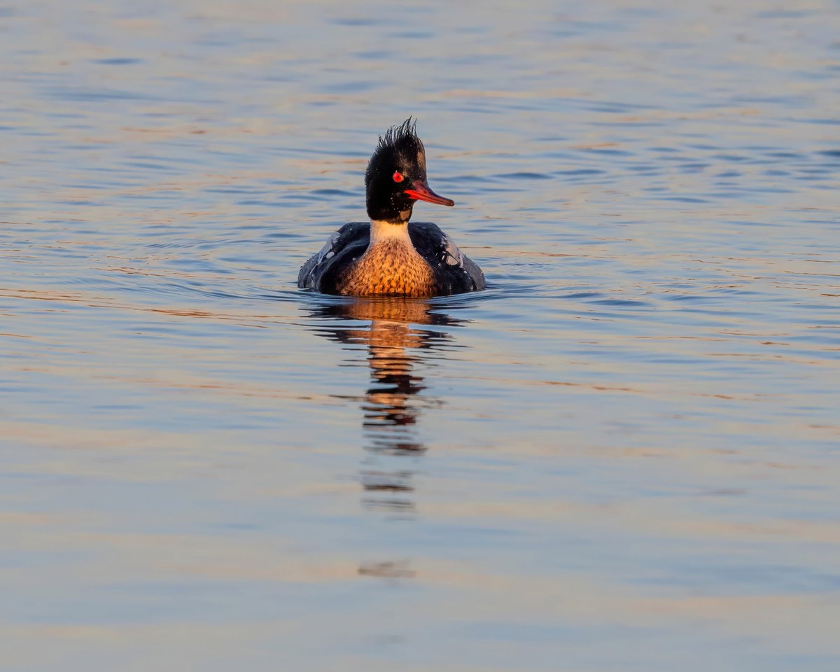 Phill Gwilliam tweet media