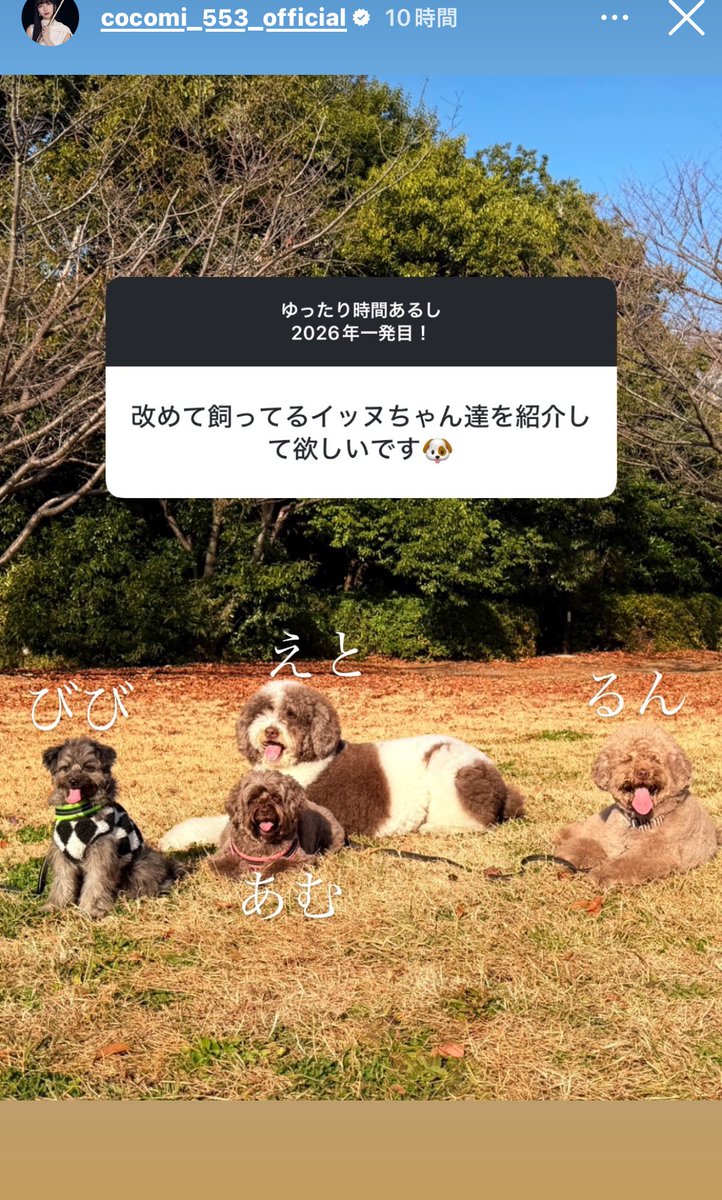 vF5Q4cou1GTYDie's tweet photo. 木村家最高🎞️✨🩷 https://t.co/vQZltzcbN2