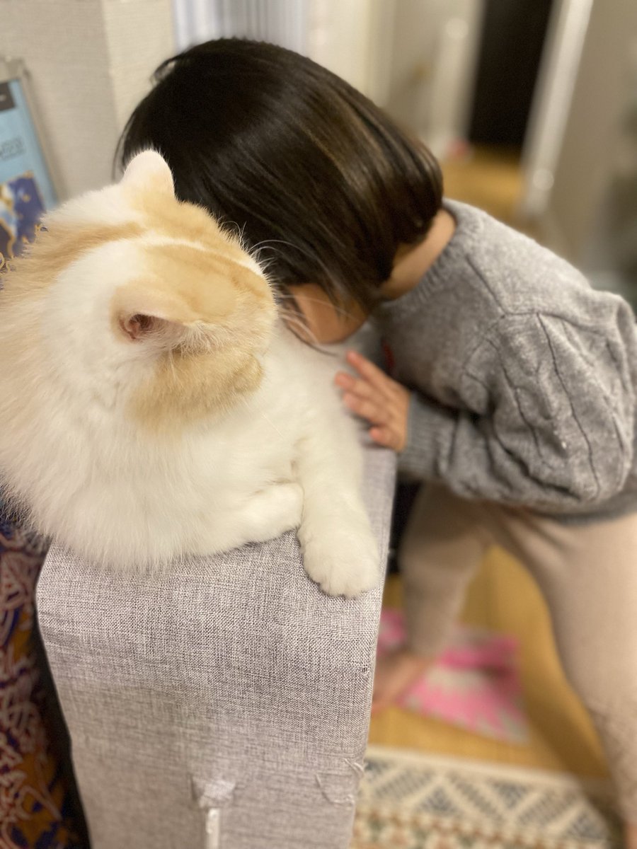 あけましておめでとうございます😌
今日から日常、みなさまお疲れ様です。
無事娘も猫吸いを覚えました🐱