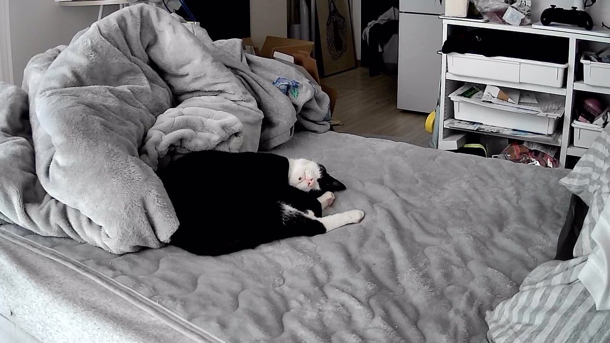 千代 (@b_6) / Posts / X