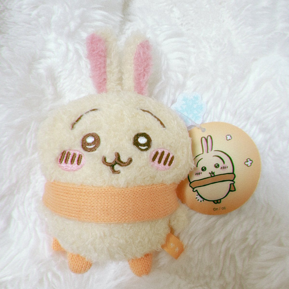 きなこ (@kinaco_mochi03) / Posts / X