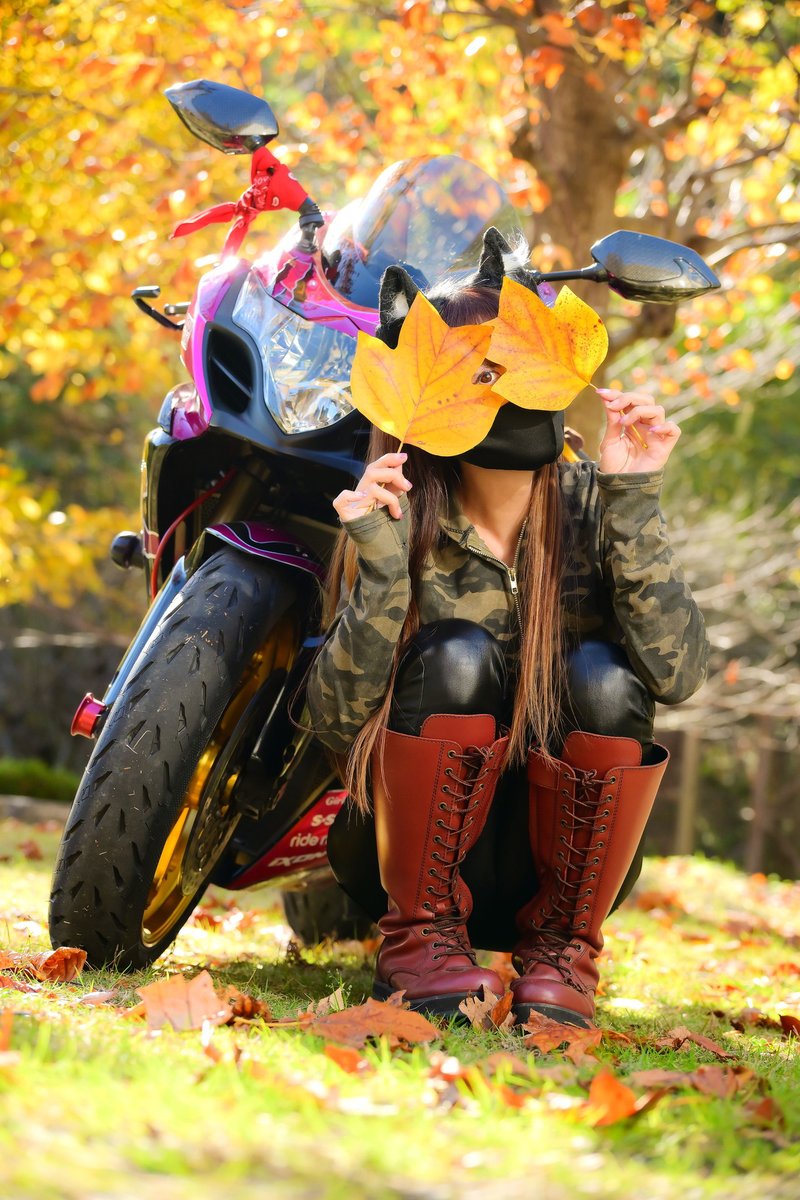 𝐒ちゃん🌸猫Photo Rider (@Kuroneko_S_chan) / Posts / X