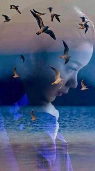 *العلاقات كاالعصافير ..*
*إن أمسكتها بإحكام تموت ..*
*وإن أمسكتها بتساهل تطير ..*
*فقط أمسكها بعناية ..*
*وستبقى معك للأبد !!*

*مساء الخير*