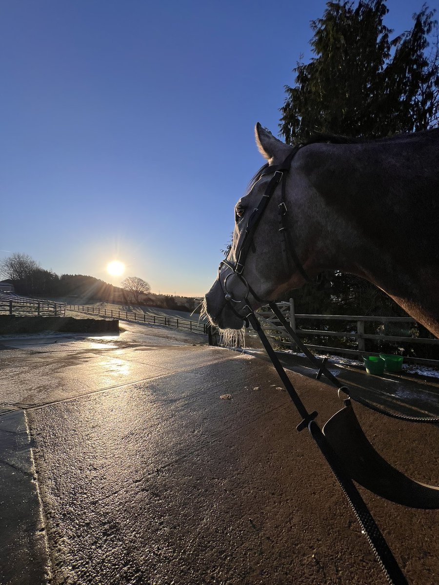 Beth McCabe tweet media