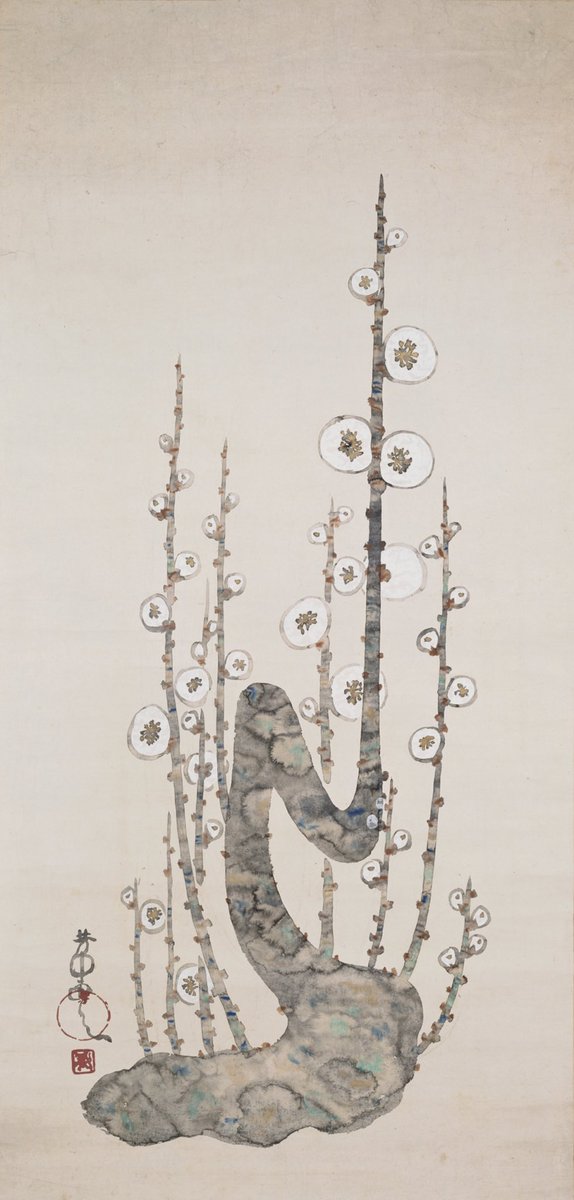 きょうの美術】 中村 芳中《白梅図》 19世紀初め、江戸時代 紙本彩色