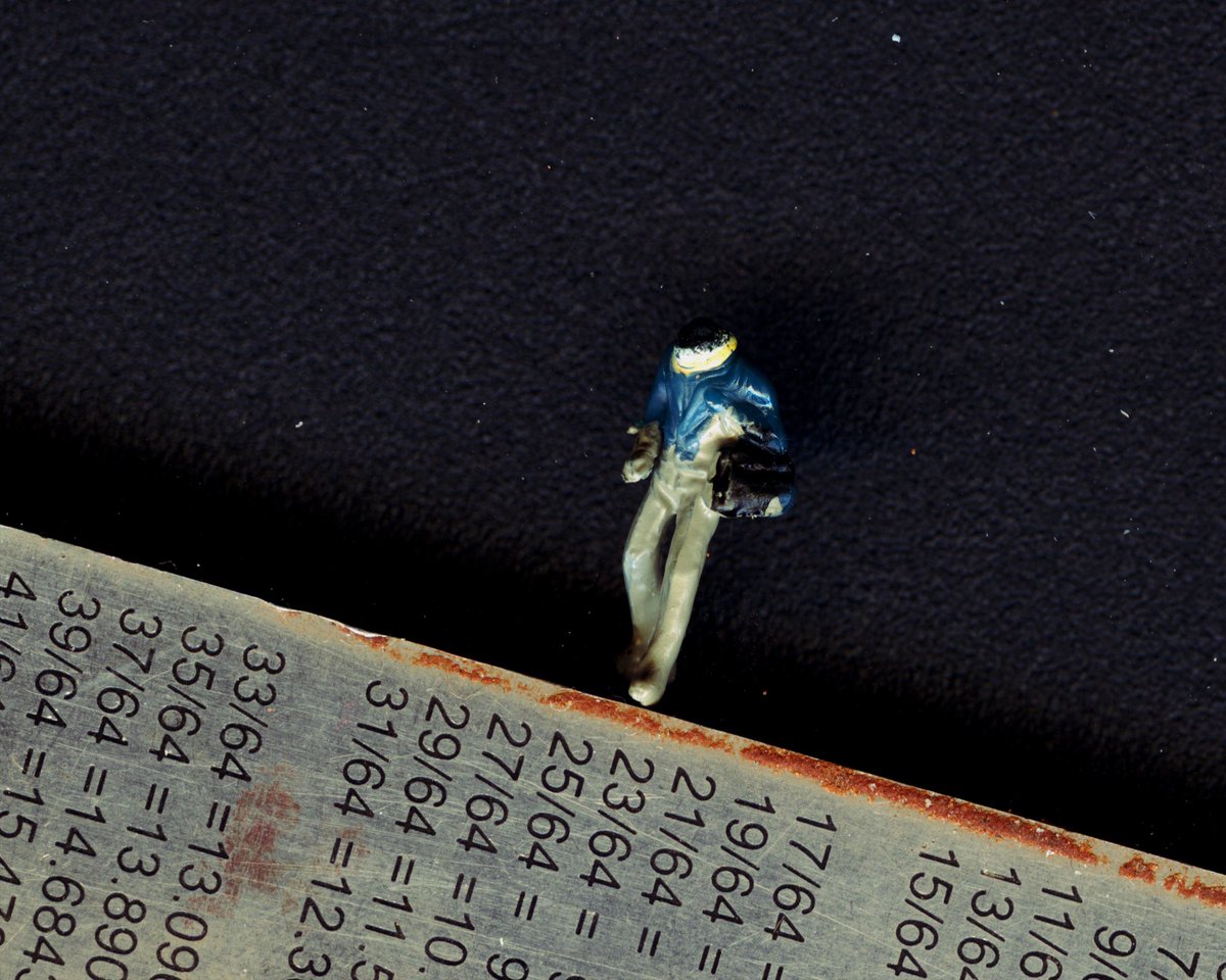 Soft Pine tweet media