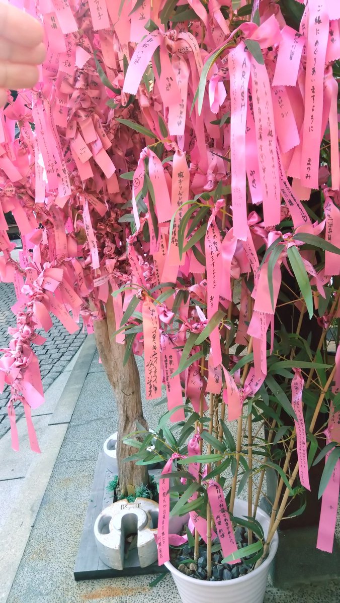 🥕鮪崎つな🥕 (@z5csySNdEqEVqfN) / Posts / X