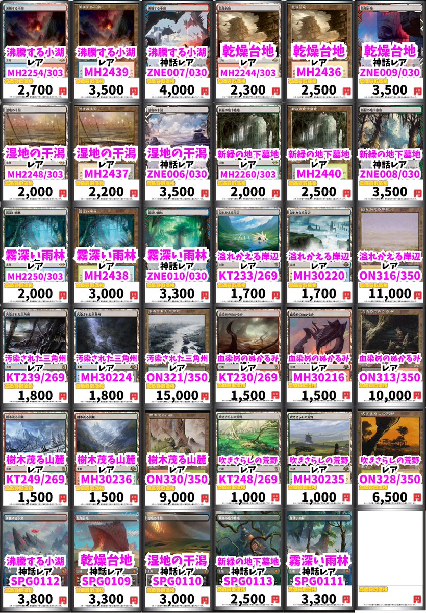 乾燥台地 湿地の干潟 霧深い雨林 沸騰する小湖 新緑の地下墓地 各１枚セット 乾燥台地 湿地の干潟 霧深い雨林 沸騰する小湖 新緑の地下墓地